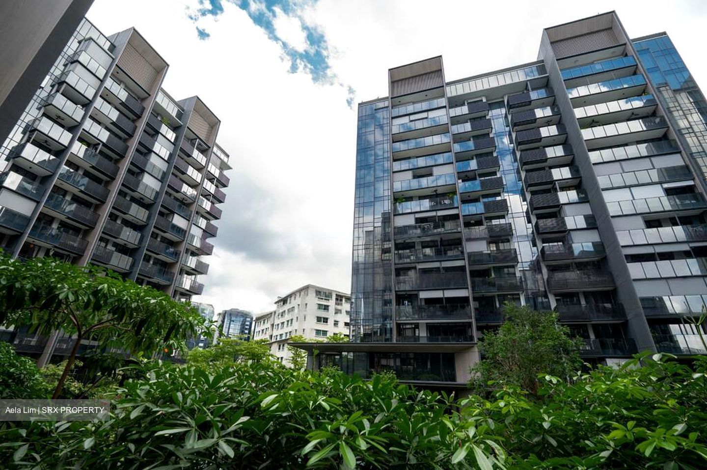 Leedon Green (D10), Condominium #467233681